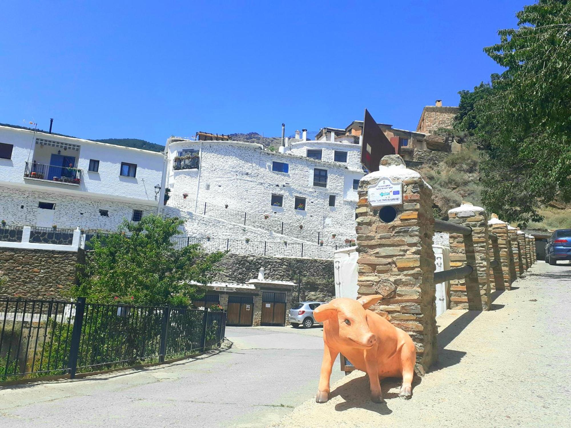 La Casa De La Bombilla Verde Trevélez エクステリア 写真