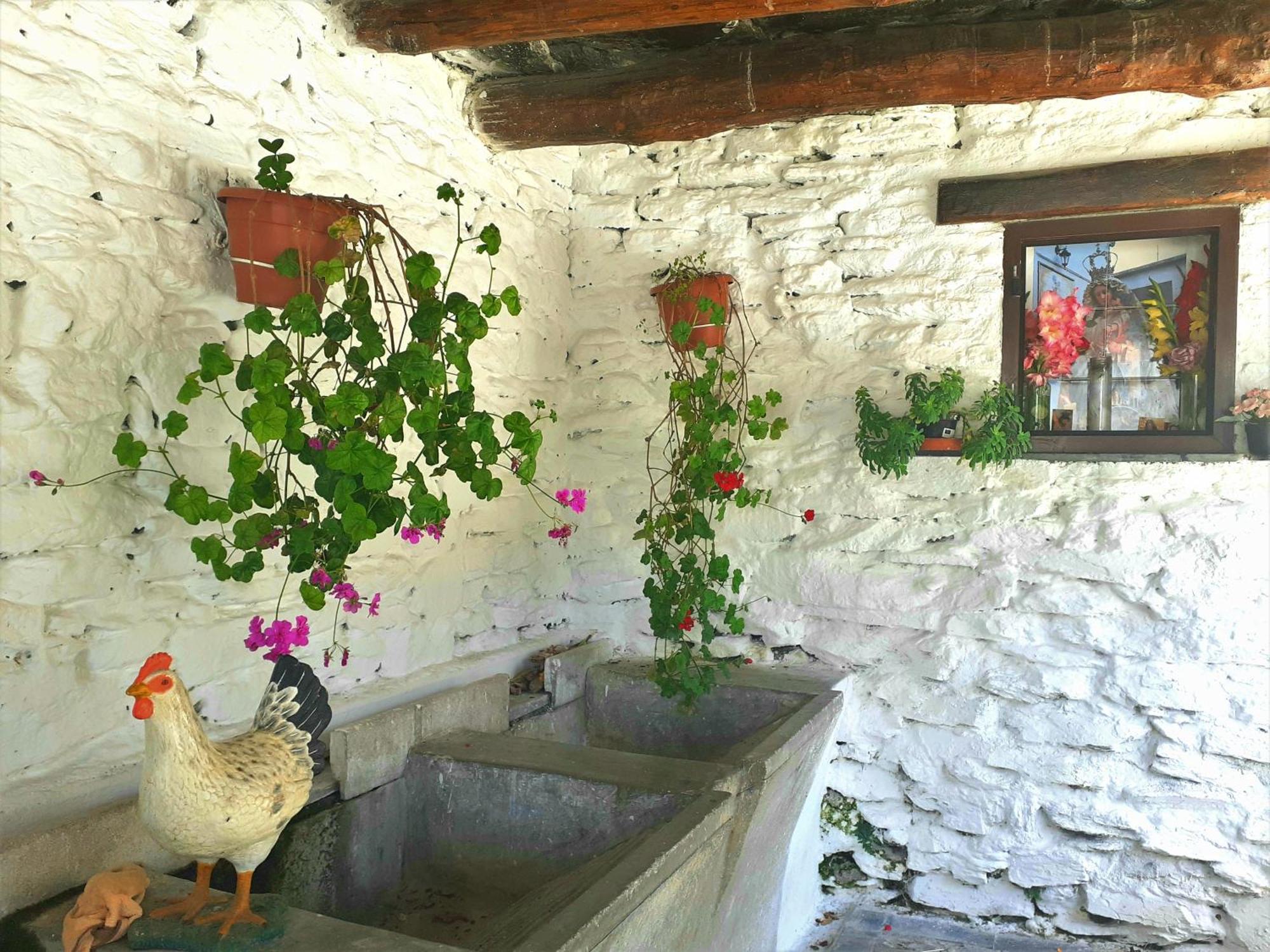 La Casa De La Bombilla Verde Trevélez エクステリア 写真