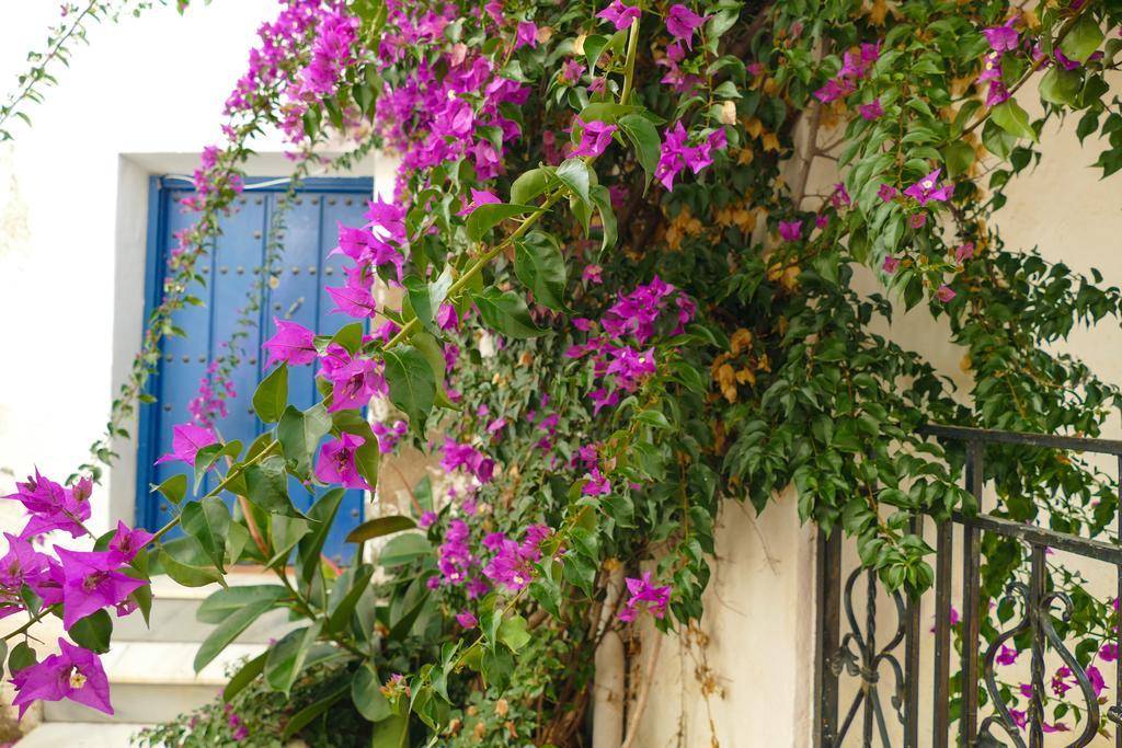La Casa De La Bombilla Verde Trevélez エクステリア 写真
