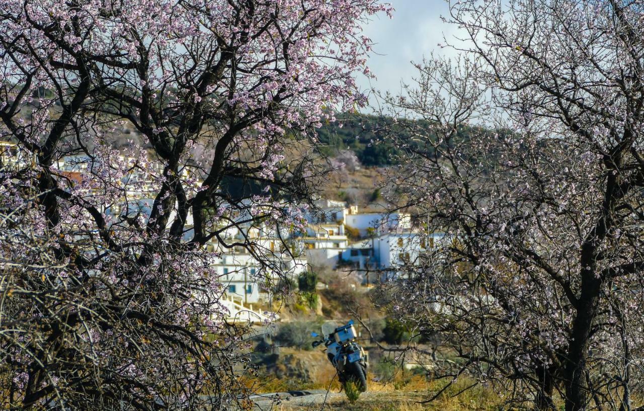 La Casa De La Bombilla Verde Trevélez エクステリア 写真